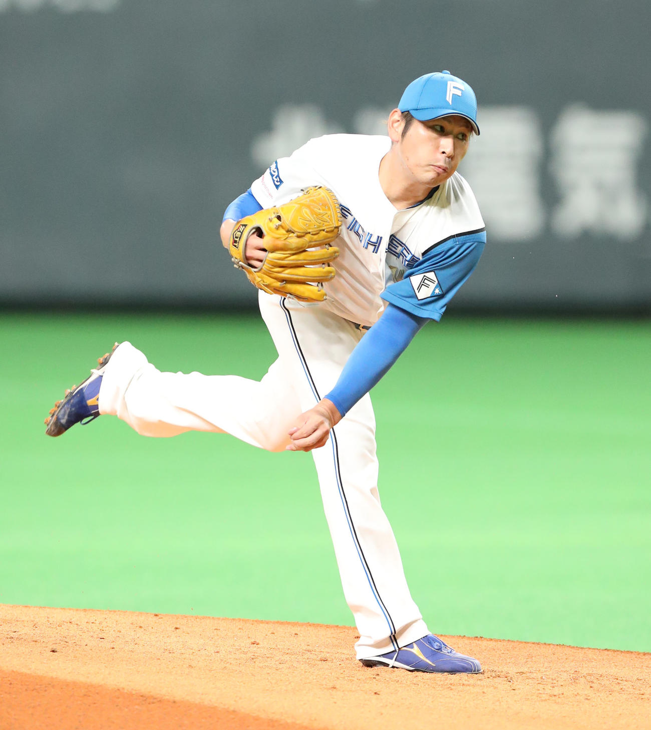 日本ハム先発の加藤（撮影・佐藤翔太）