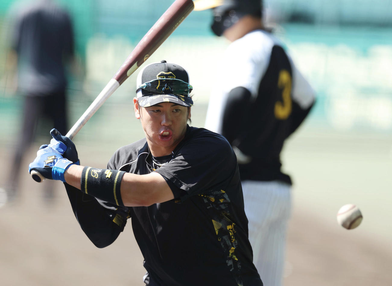 打撃練習に臨む阪神梅野（撮影・前田充）