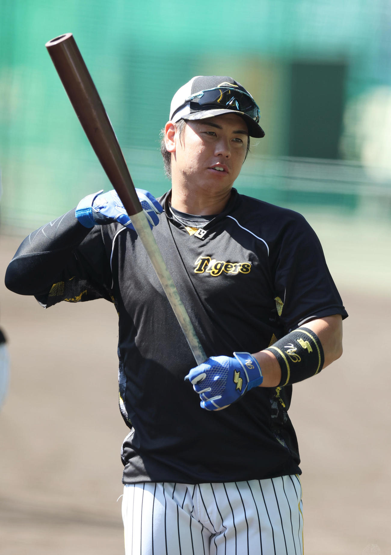 打撃練習に臨む阪神梅野（撮影・前田充）