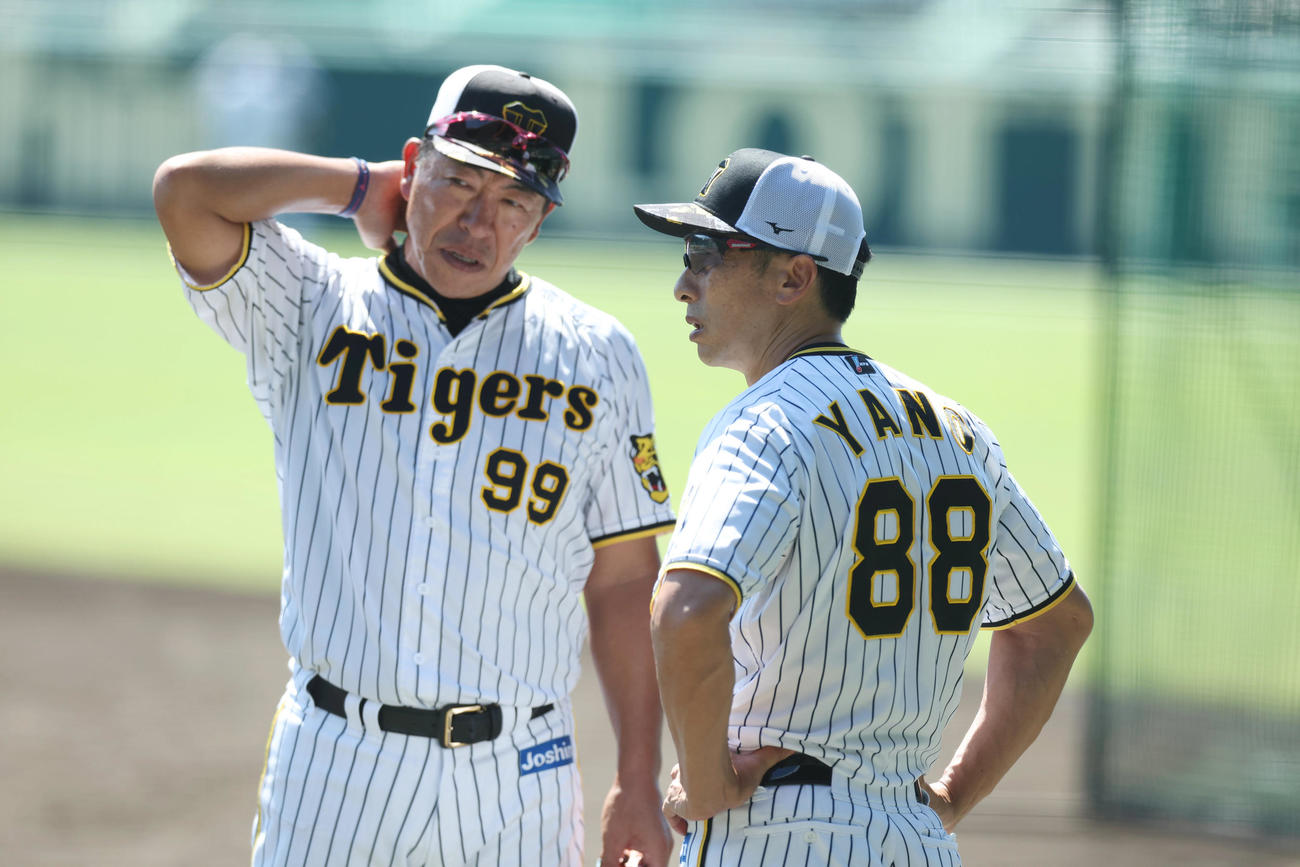 練習中、阪神井上ヘッドコーチ（左）と言葉を交わす矢野監督（撮影・前田充）