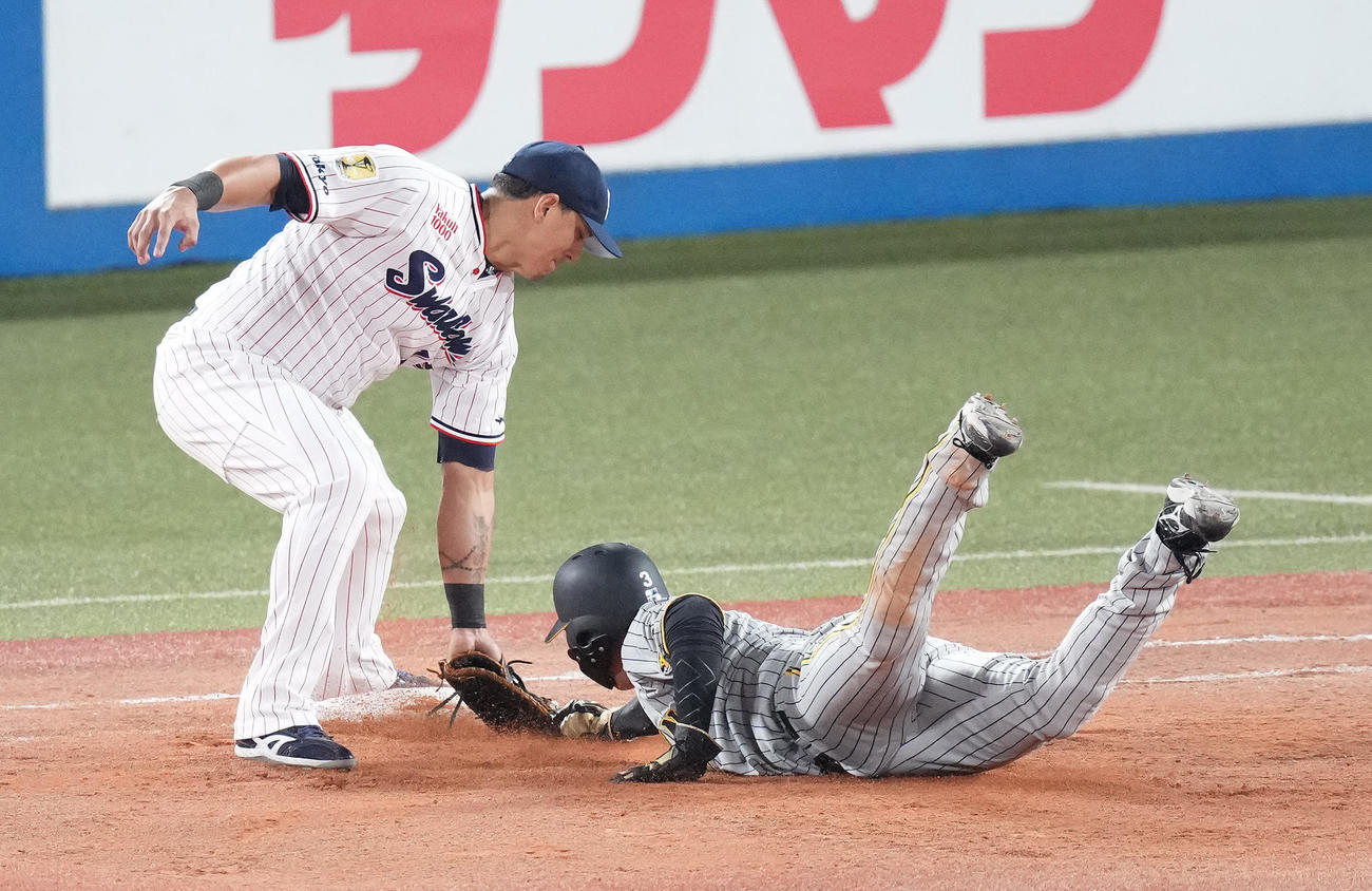 ヤクルト対阪神　5回表阪神1死一、二塁、打者原口の時、けん制で一塁アウトになる一塁走者大山。一塁手オスナ（撮影・鈴木みどり）