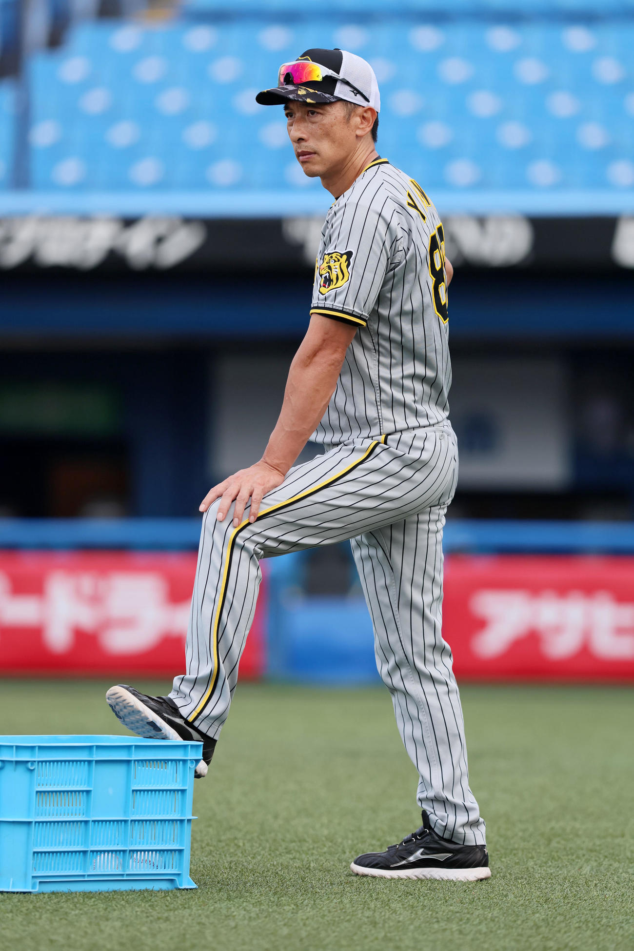 ヤクルト対阪神　練習見守る矢野監督（撮影・加藤哉）