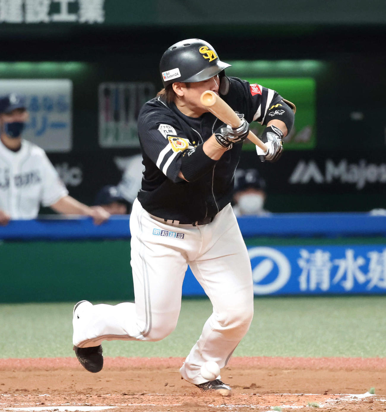 西武対ソフトバンク　5回表ソフトバンク1死一塁、甲斐の送りバントは身体に当たってアウトとなる（撮影・丹羽敏通）