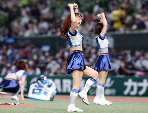 西武の公式パフォーマンスチーム「bluelegends」（ブルーレジェンズ）
