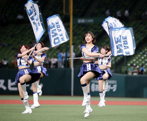 西武の公式パフォーマンスチーム「bluelegends」（ブルーレジェンズ）