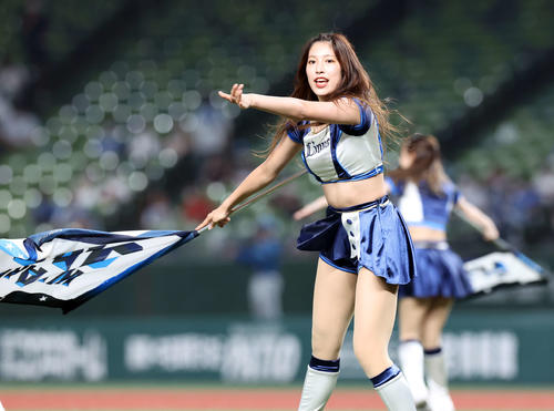 西武の公式パフォーマンスチーム「bluelegends」（ブルーレジェンズ）