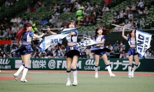 西武の公式パフォーマンスチーム「bluelegends」（ブルーレジェンズ）