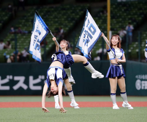 西武の公式パフォーマンスチーム「bluelegends」（ブルーレジェンズ）