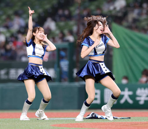 西武の公式パフォーマンスチーム「bluelegends」（ブルーレジェンズ）