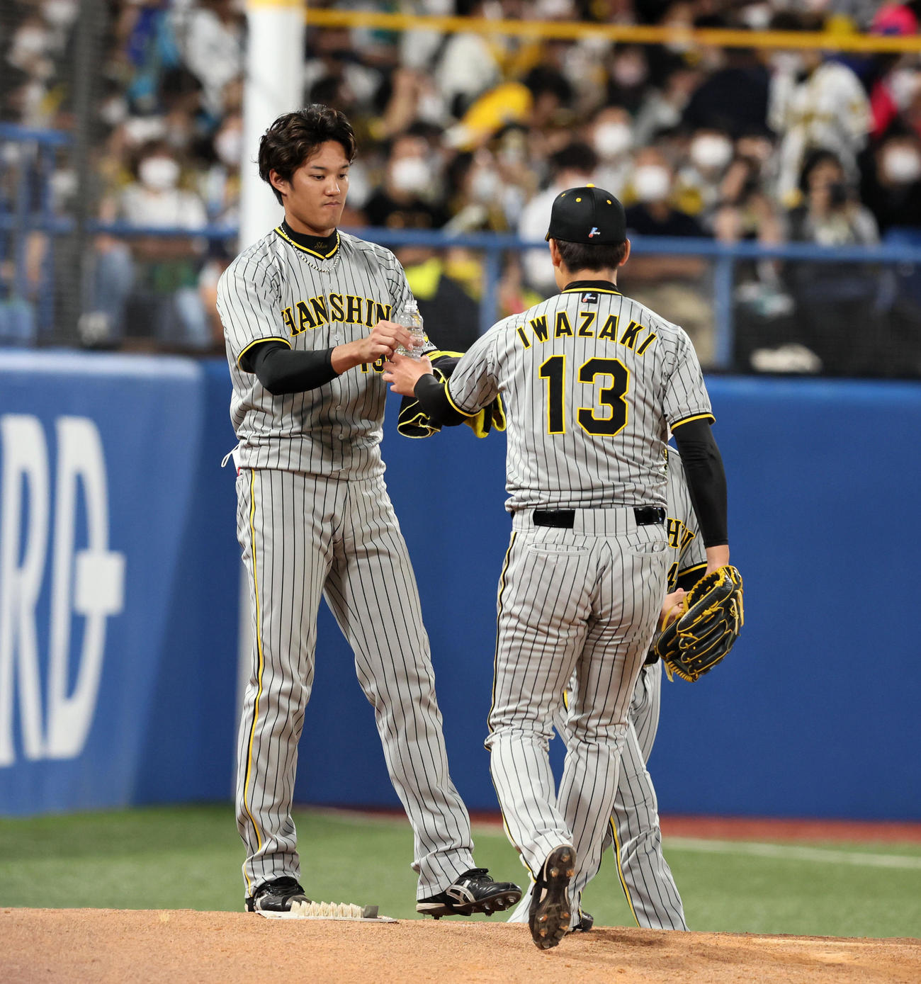 ヤクルト対阪神　9回裏、マウンドへ向かう岩崎（右）に力水をつける藤浪（撮影・加藤哉）