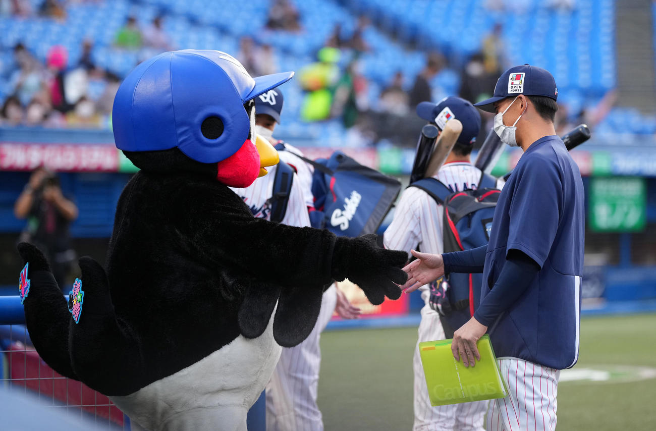ヤクルト対阪神　試合前、ベンチに入る前につば九郎（左）と握手を交わすヤクルト嶋（撮影・垰建太）