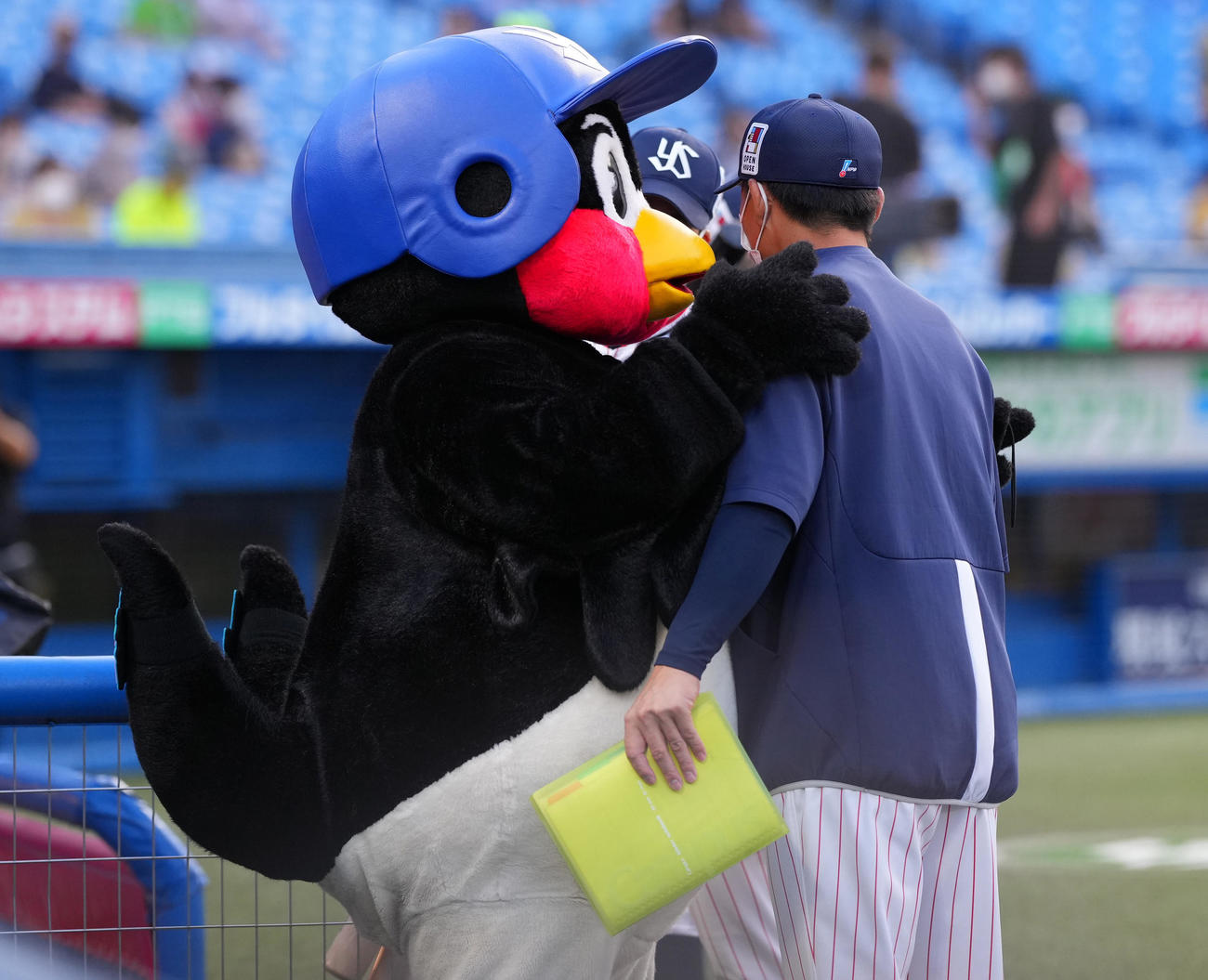 ヤクルト対阪神　試合前、ベンチに入る前にヤクルト嶋（右）をハグするつば九郎（撮影・垰建太）