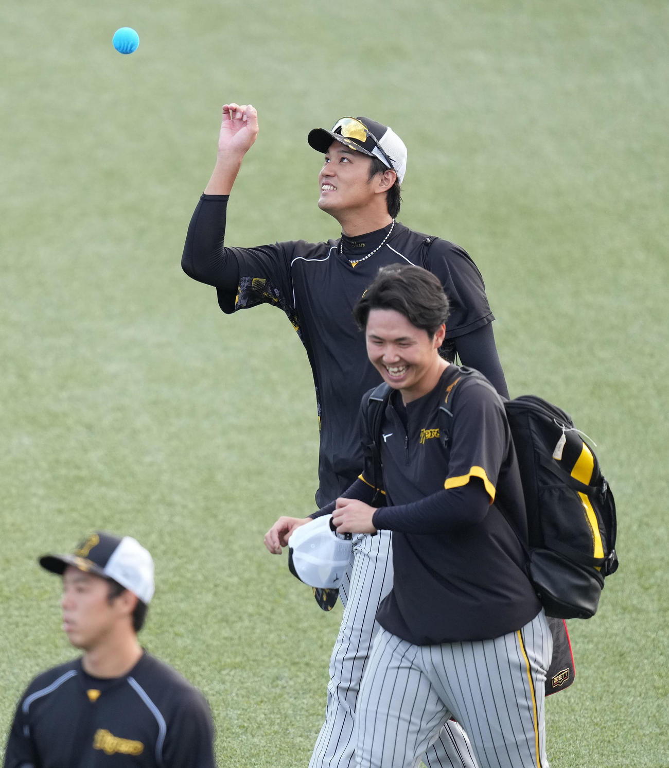 ヤクルト対阪神　試合前練習でボールを投げる阪神藤浪（撮影・鈴木みどり）