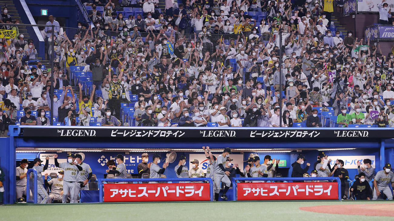 ヤクルト対阪神　勝利の瞬間ガッツポーズの阪神矢野監督（左）らナイン（撮影・垰建太）