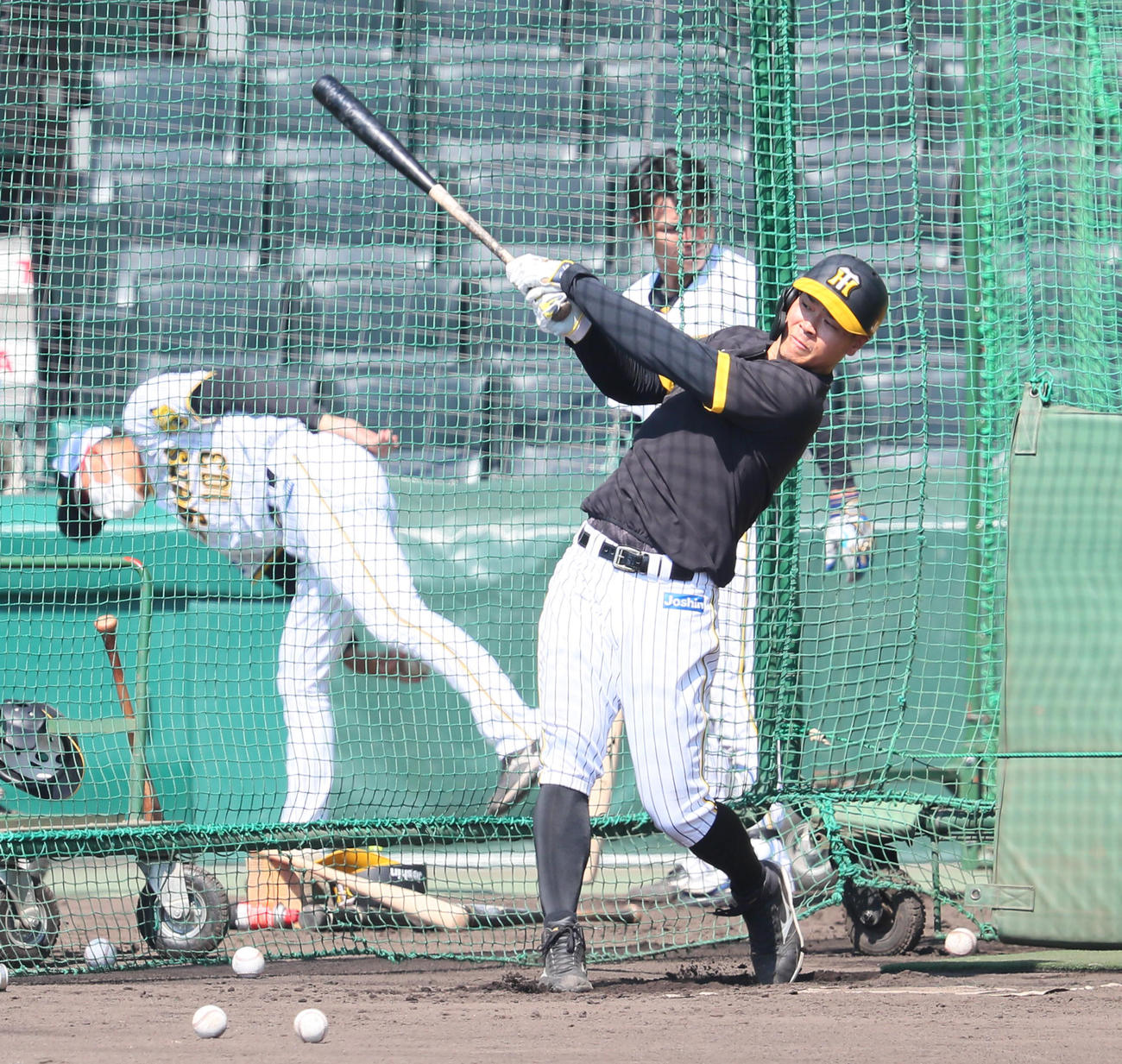フリー打撃に励む佐藤輝（撮影・宮崎幸一）