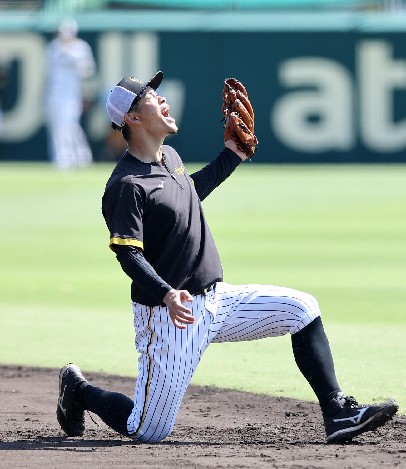 阪神佐藤輝は二塁でフリー打撃の球をキャッチに挑むも取れず悔しがる（撮影・上山淳一）
