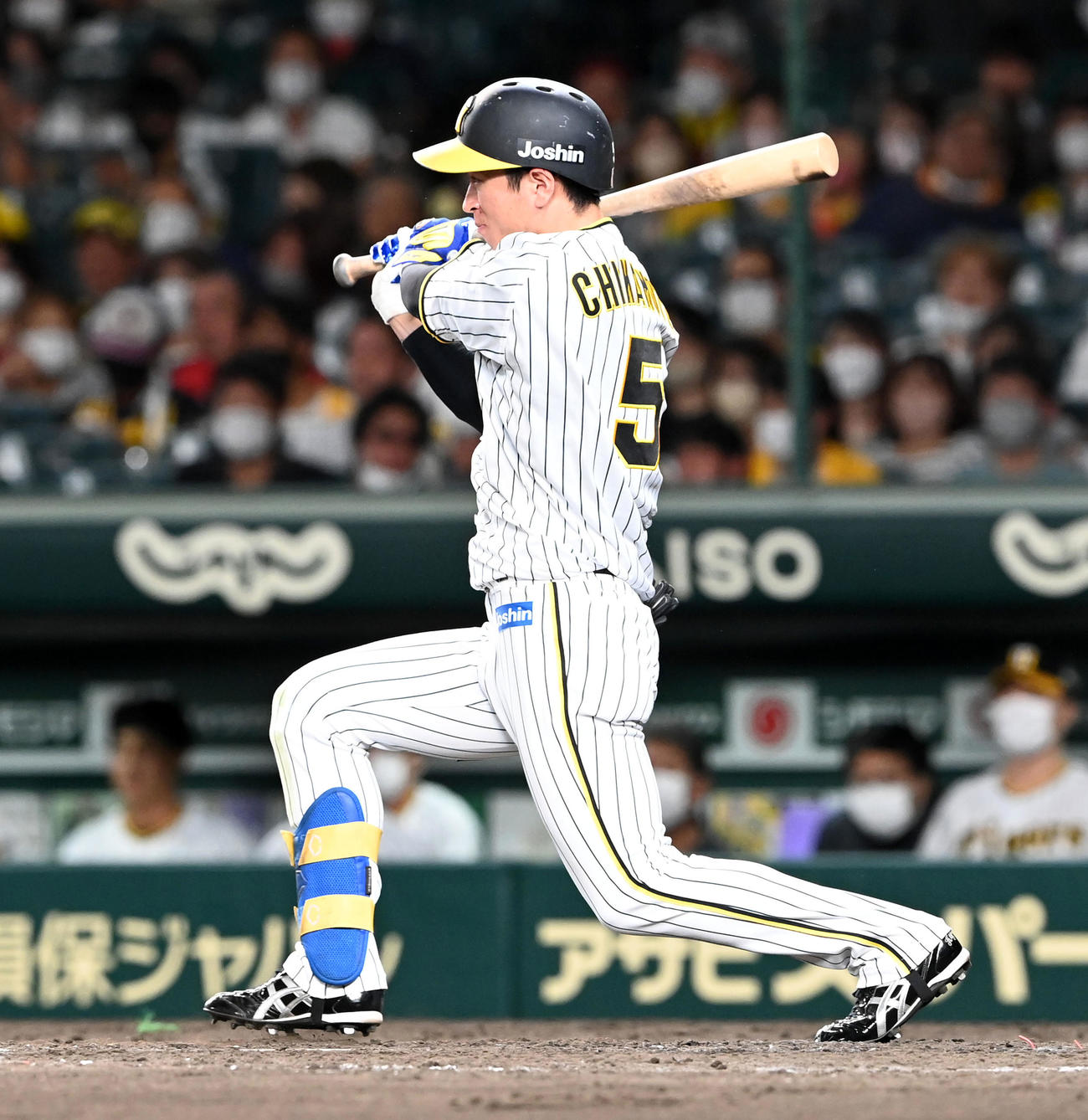 阪神近本光司（2022年9月12日撮影）