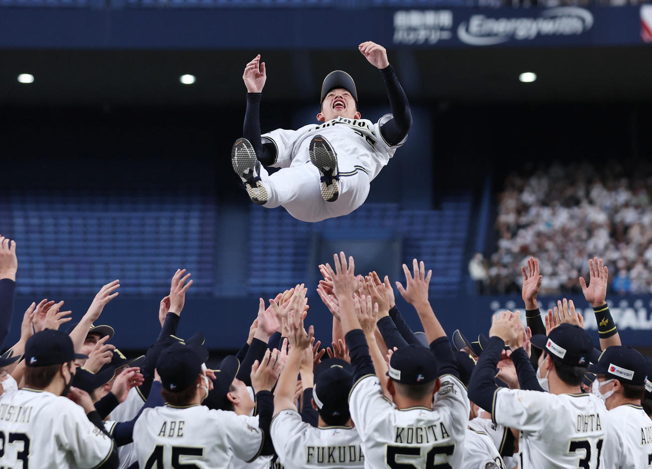 オリックス対ロッテ　現役引退セレモニーでナインに胴上げされるオリックス能見（撮影・前田充）