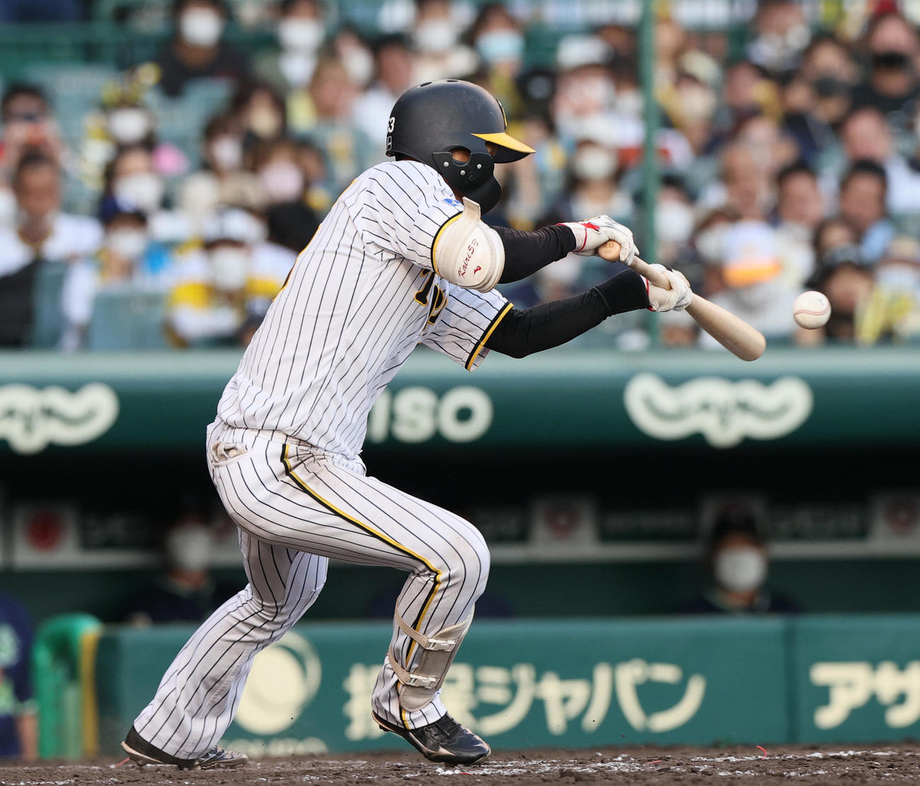 阪神対ヤクルト　9回裏阪神無死、島田はセーフティーバントを決める（撮影・上山淳一）