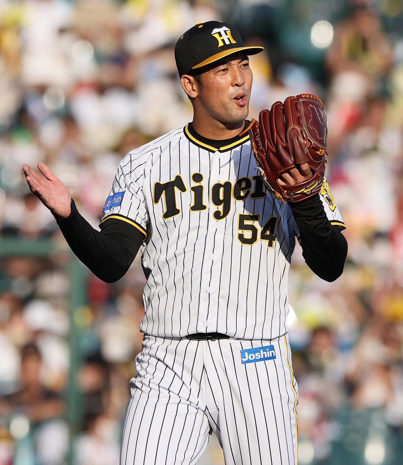 阪神対ヤクルト　8回に登板の阪神加治屋は無失点に抑える（撮影・上山淳一）