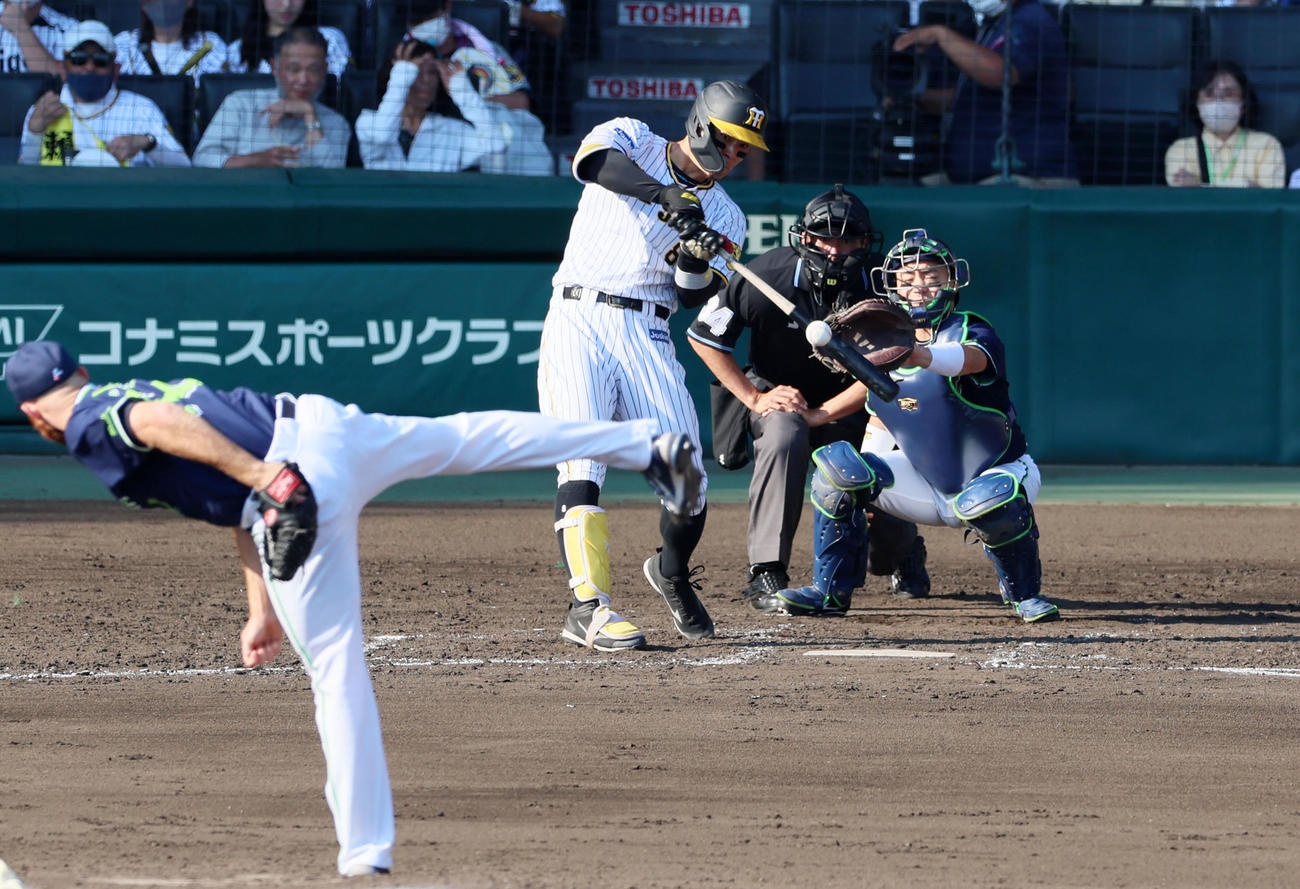 阪神対ヤクルト　5回裏阪神2死、佐藤輝は右飛を打ち上げる。投手はサイスニード（撮影・加藤哉）