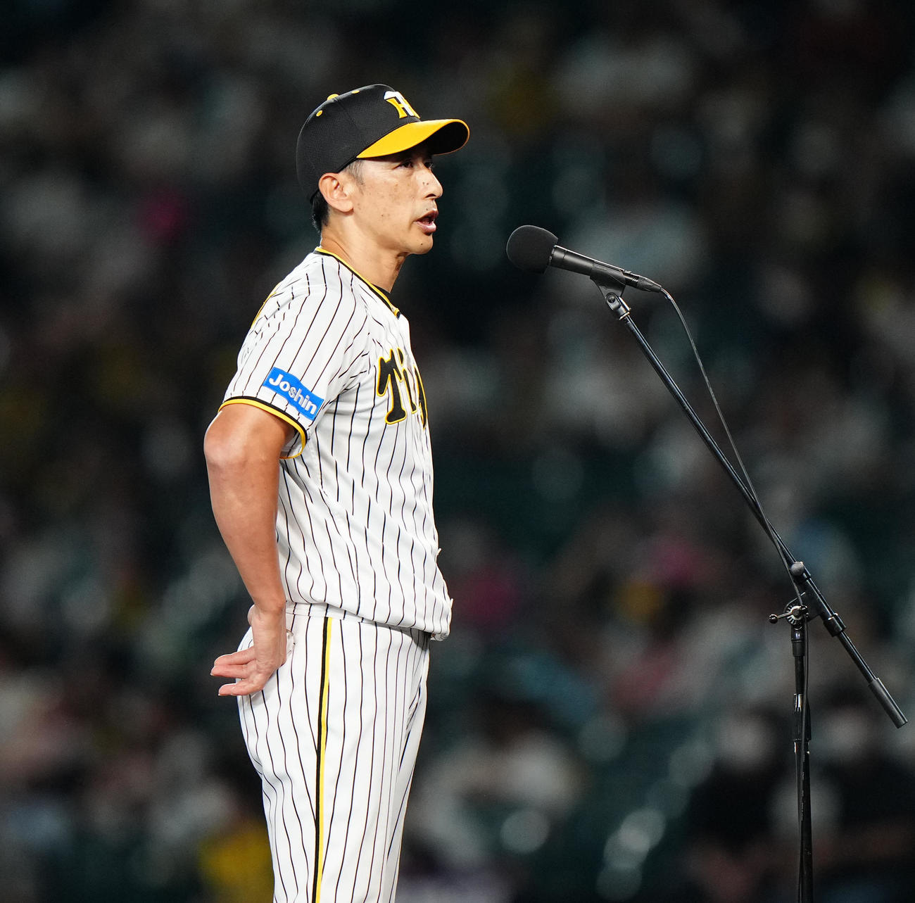 阪神対ヤクルト　本拠地最終戦後、あいさつする阪神矢野監督（撮影・江口和貴）