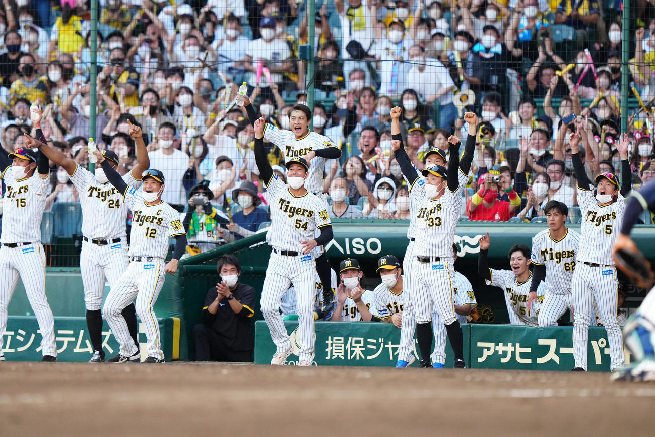 阪神対ヤクルト　9回裏阪神2死一、二塁、栄枝が同点適時打を放ち、歓喜する選手たち（撮影・江口和貴）