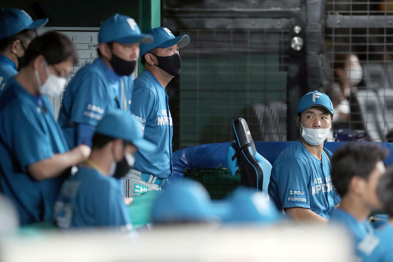 西武対日本ハム　監督席に座る近藤（右後方）（撮影・佐藤翔太）