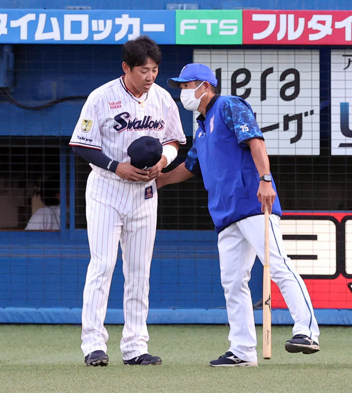 ヤクルト対DeNA　試合前、ヤクルト内川（左）はDeNA石井コーチとあいさつ（撮影・浅見桂子）