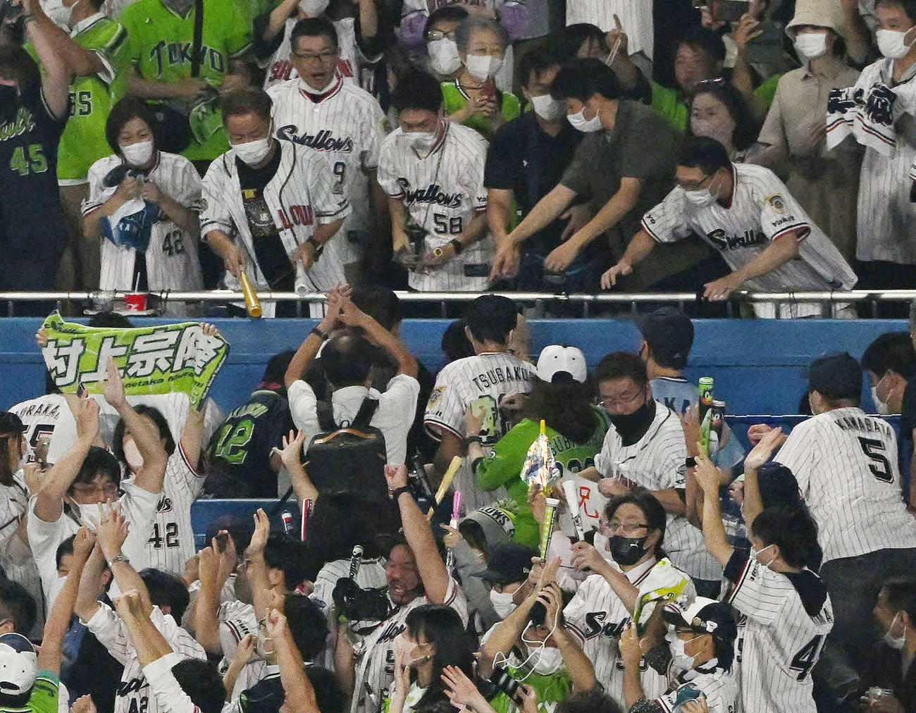 ヤクルト対DeNA 7回裏ヤクルト無死、村上の日本選手最多となる56号本塁打の記念球を追うファン（撮影・滝沢徹郎）