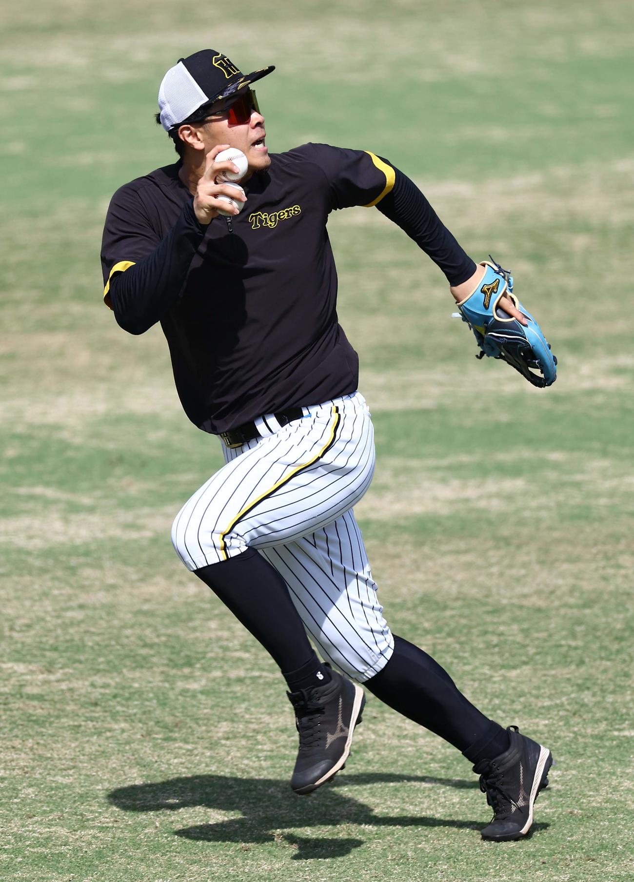 右翼守備練習をする佐藤輝はフリー打撃の打球を背走で追う（撮影・上田博志）