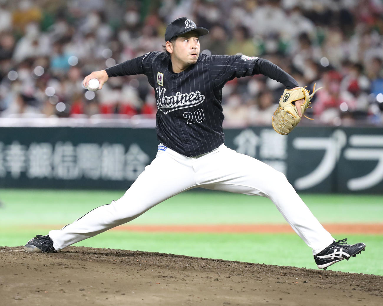 ロッテ東條大樹（2022年9月23日撮影）