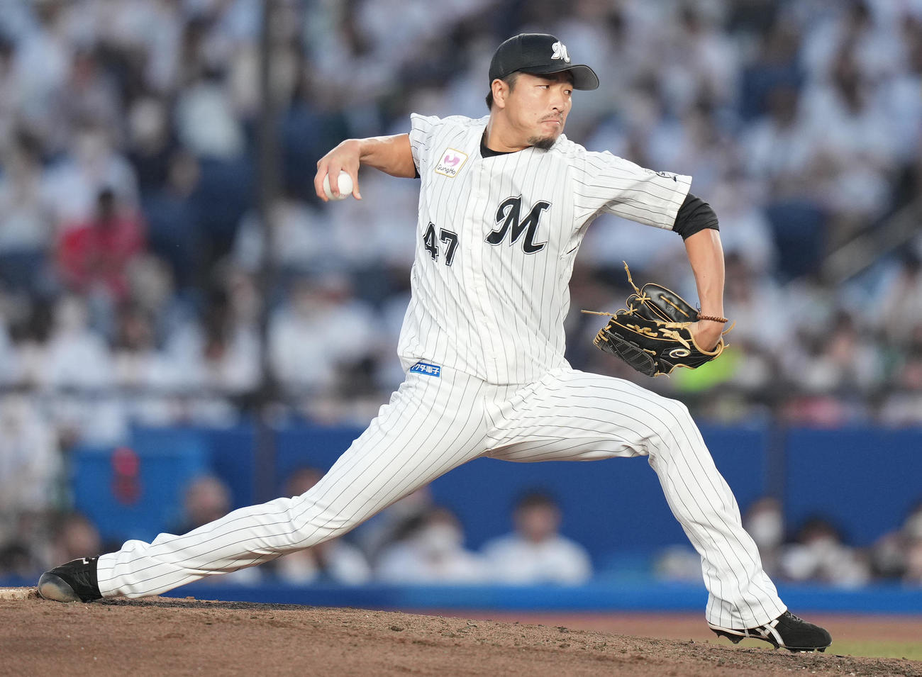 ロッテ田中靖