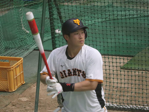 増田陸NPBバット 【公式通販】