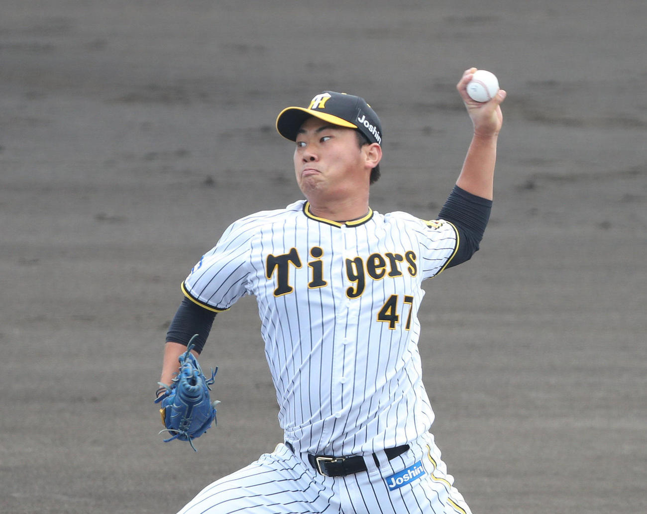 阪神桐敷拓馬（2022年9月撮影）