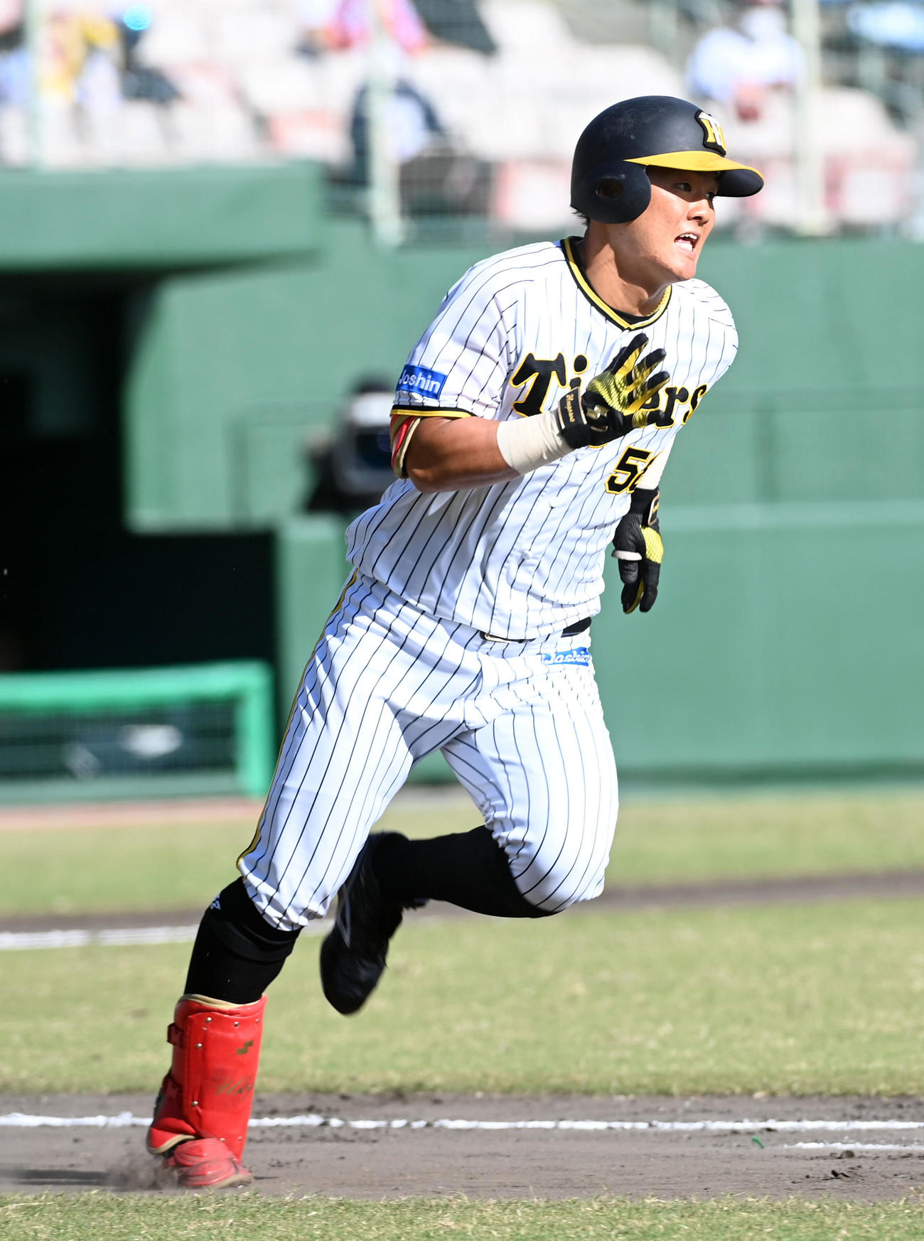阪神対楽天　6回裏阪神2死、前川は右越え本塁打を放つ（撮影・前岡正明）