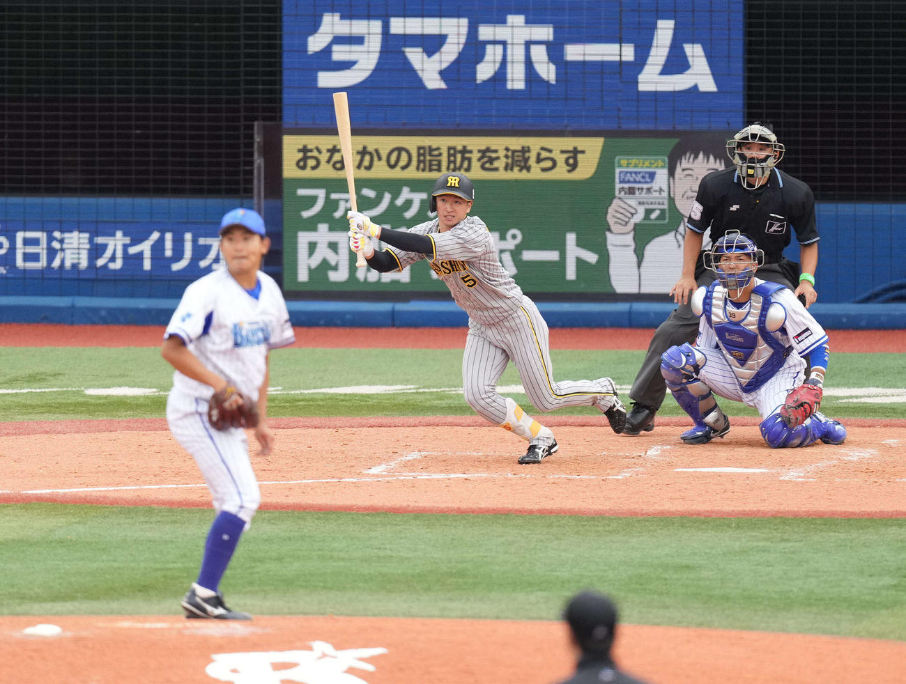 DeNA対阪神　5回表阪神1死満塁、先制の中2点適時打を放つ近本。投手今永（撮影・鈴木みどり）