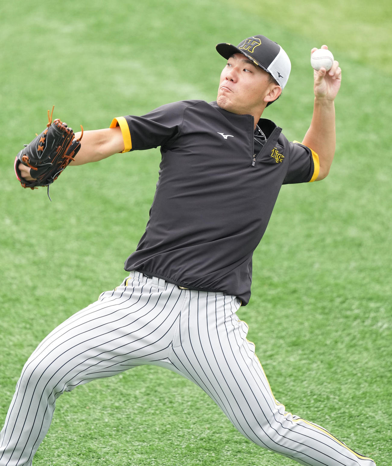 DeNA対阪神　試合前練習でキャッチボールする阪神伊藤将（撮影・鈴木みどり）