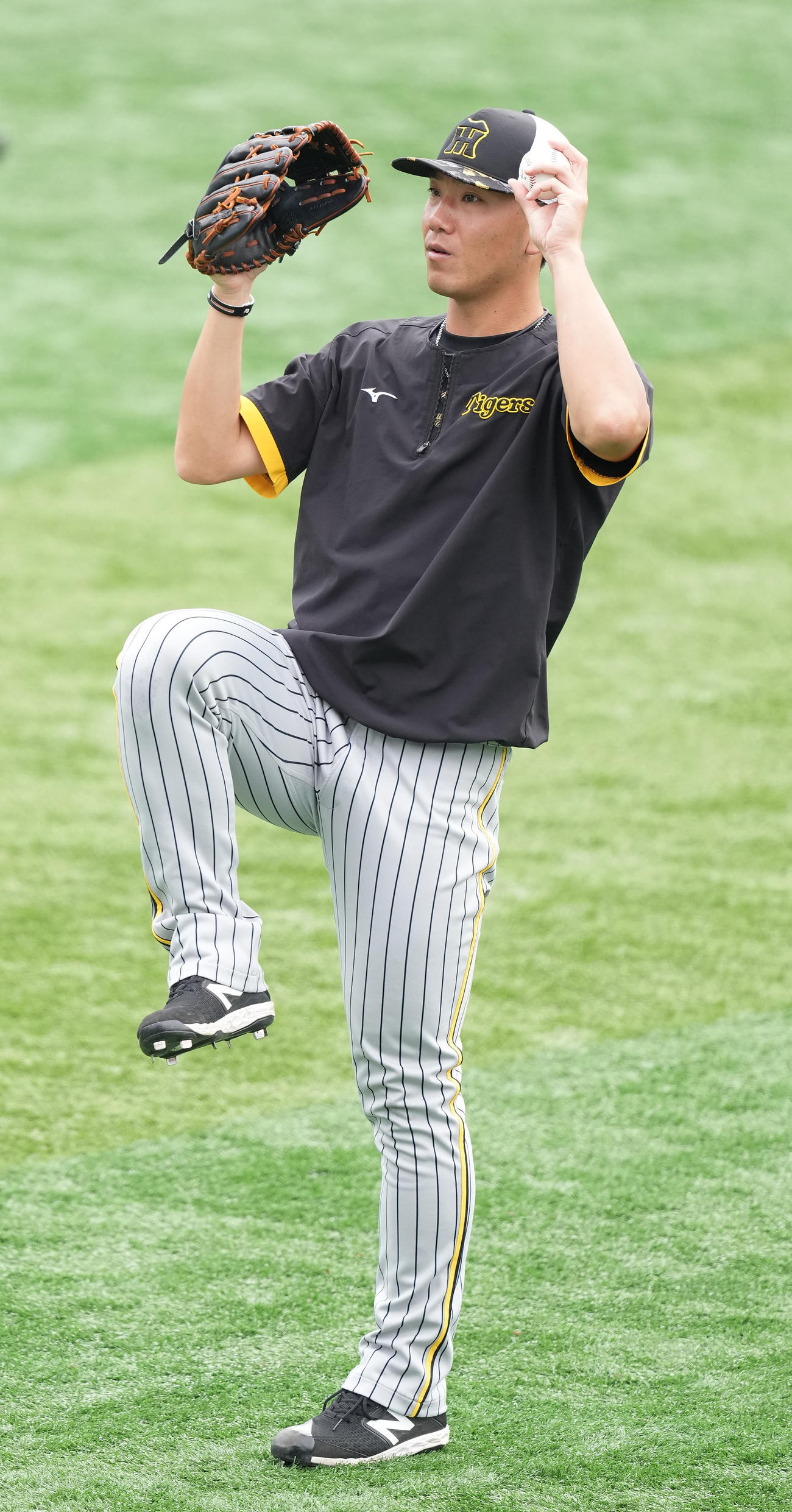 DeNA対阪神　試合前練習でキャッチボールする阪神伊藤将（撮影・鈴木みどり）
