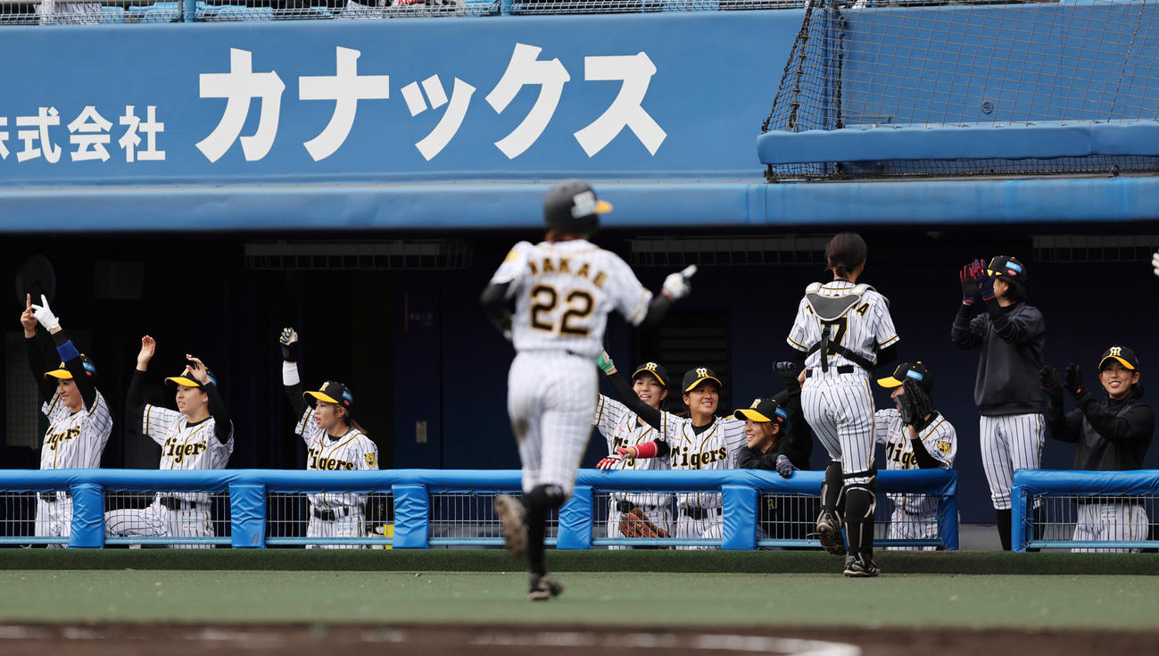 全日本女子硬式野球選手権2回戦　京都両洋対阪神タイガースWomen　タイガースWomenは初戦となる京都両洋高との2回戦を5回7－0でコールド勝ちし好発進する（阪神タイガースWomen提供）