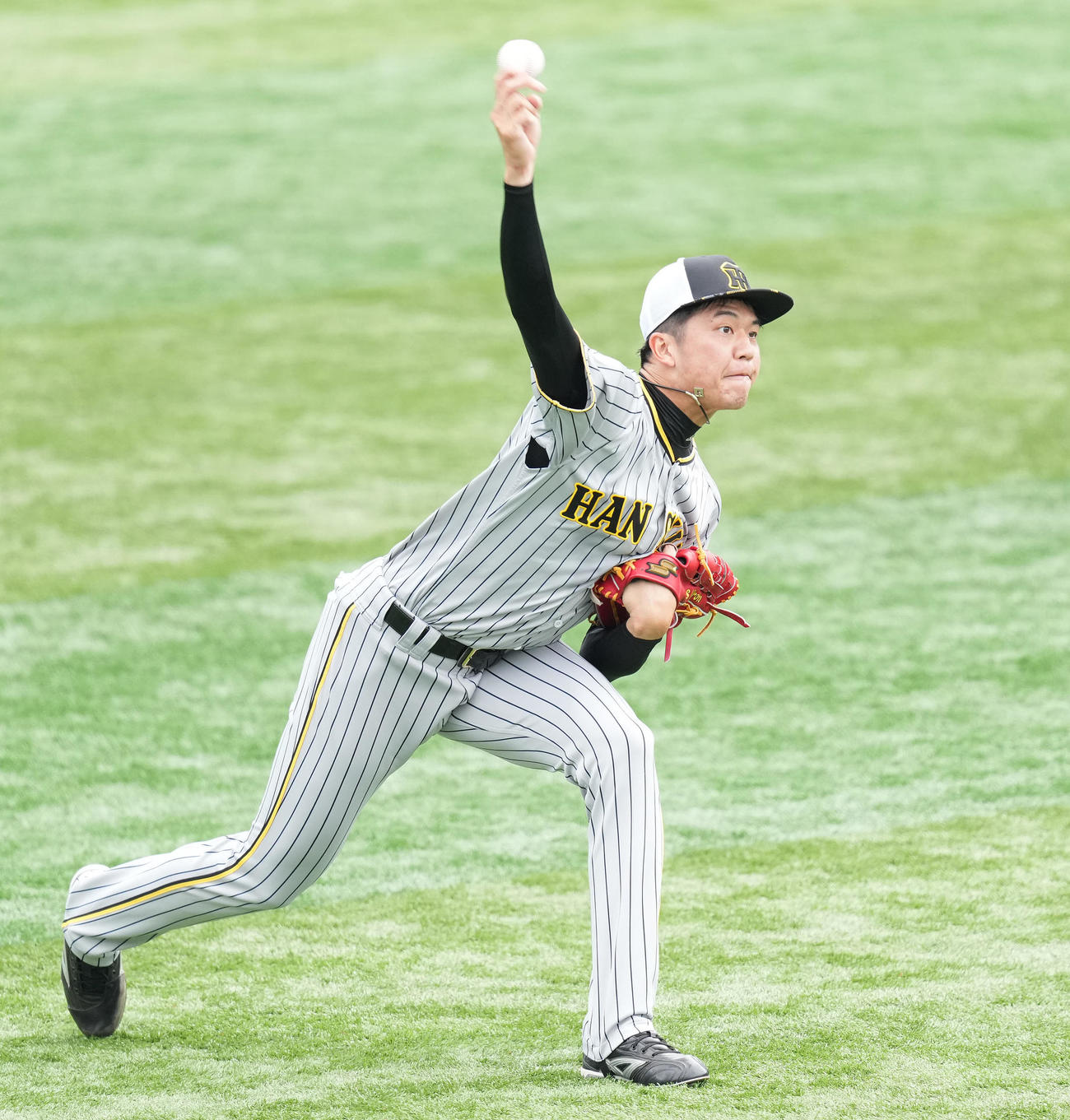 DeNA対阪神　試合前練習でキャッチボールする阪神才木（撮影・鈴木みどり）