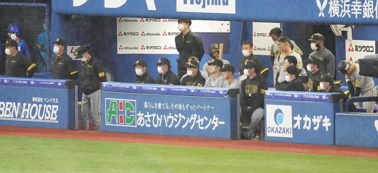 DeNA対阪神　9回表、ベンチでうつむく阪神矢野監督（左手前から3人目）（撮影・鈴木みどり）