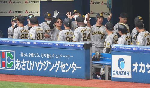 DeNA対阪神　試合直前、ナインとベンチでタッチを交わす阪神矢野監督（中央）（撮影・鈴木みどり）