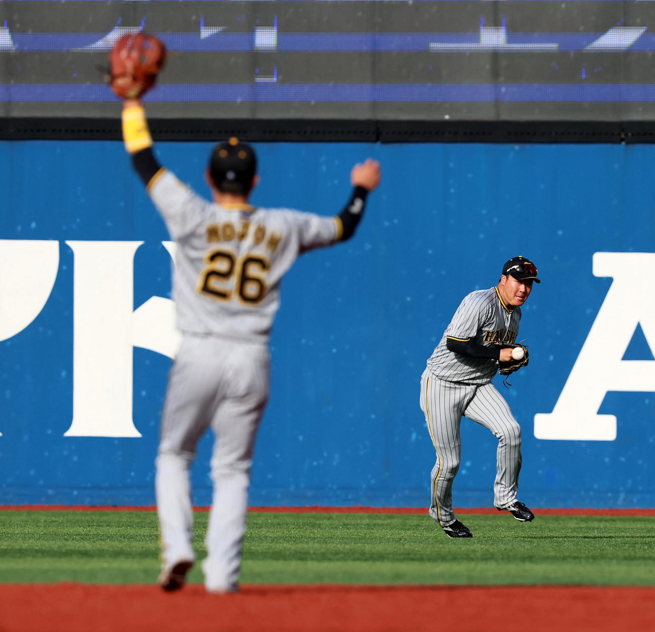 DeNA対阪神　3回裏DeNA1死一塁、大山は楠本の打球をつかみ損ねエラーを記録（撮影・加藤哉）