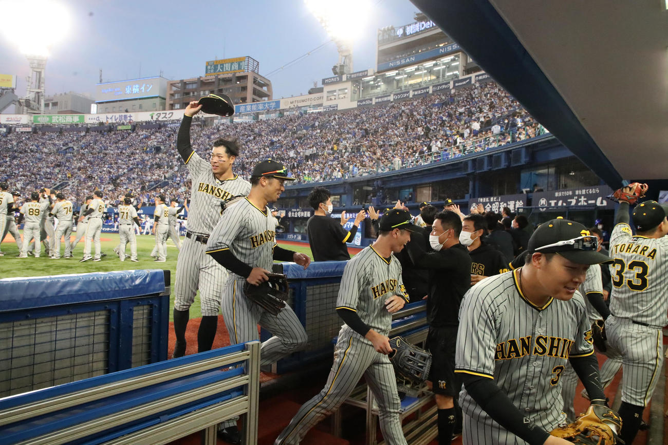 DeNA対阪神　DeNAに勝利しCSファイナル進出を決め喜ぶ佐藤輝ら阪神ナイン（撮影・加藤哉）