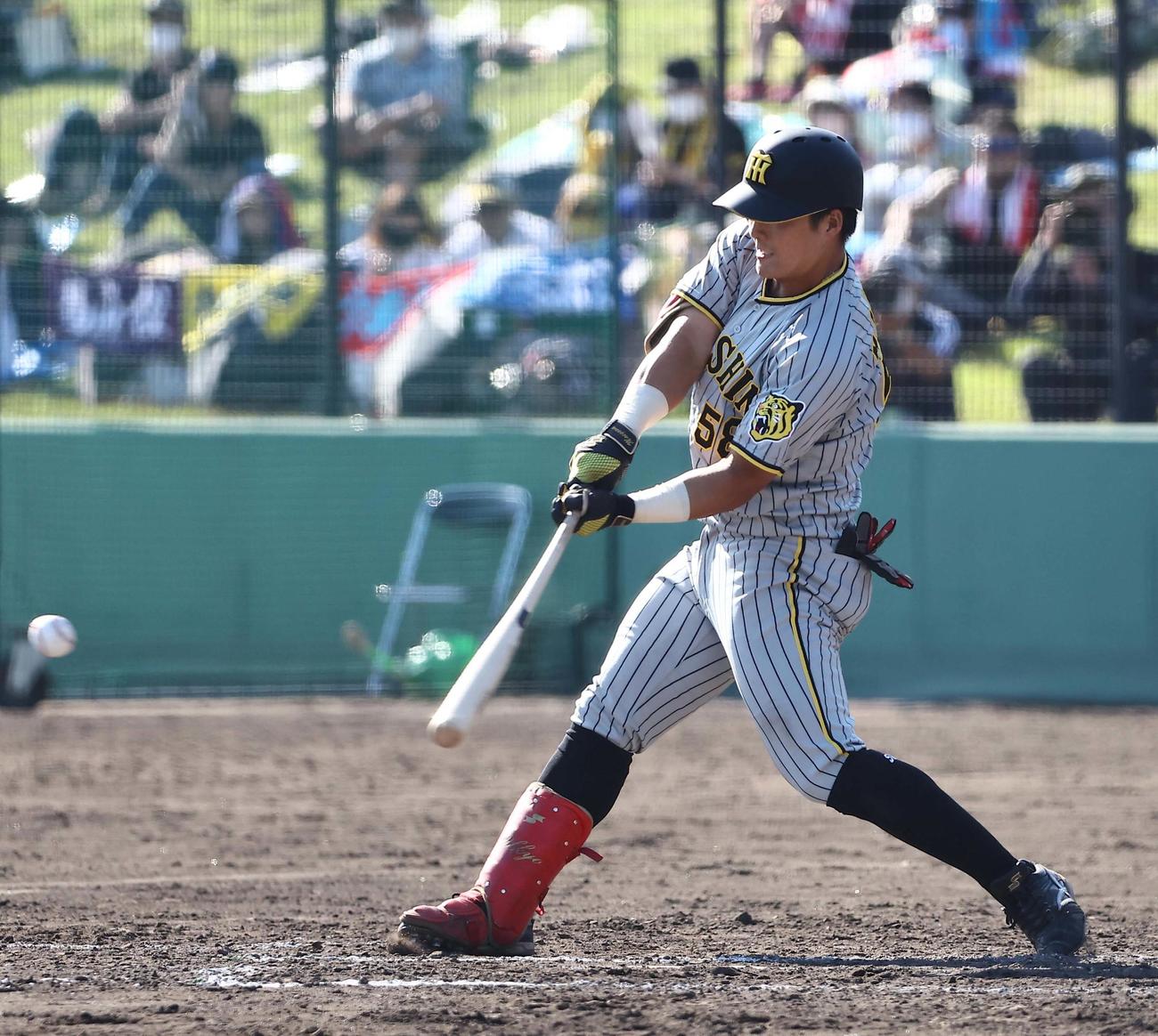 阪神前川右京（2022年10月1日撮影）