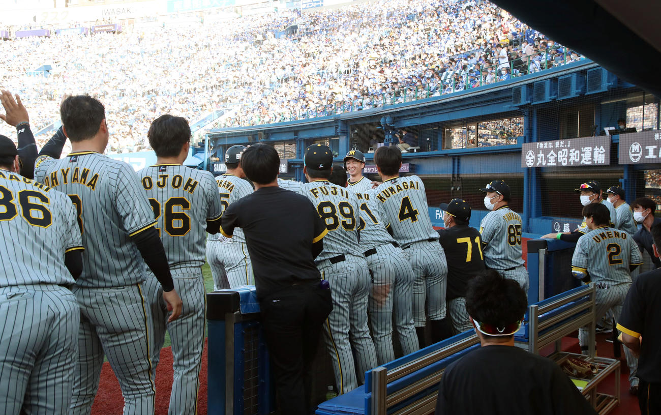 DeNA対阪神　6回表阪神1死二塁、二塁走者近本は原口の左前適時打で生還しベンチのナインと笑顔でタッチする（撮影・加藤哉）