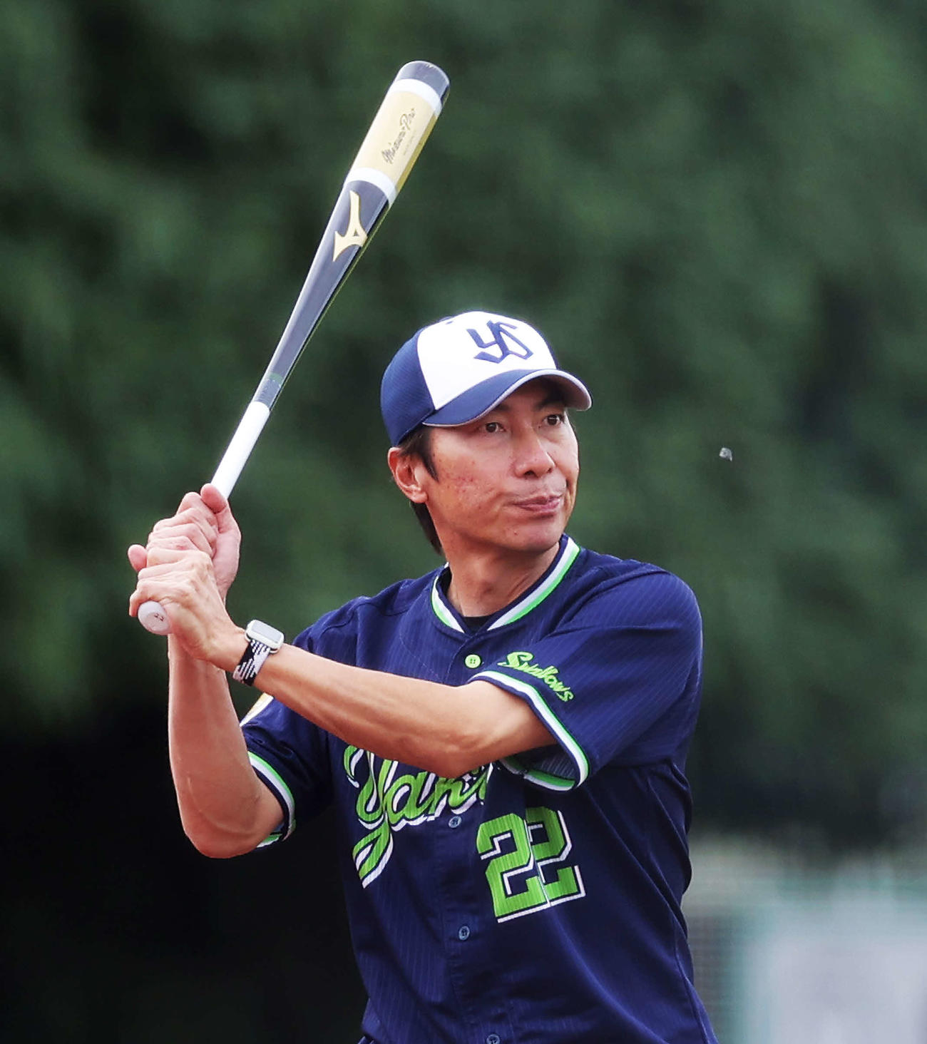 小石を打とうとするヤクルト高津監督（撮影・河田真司）