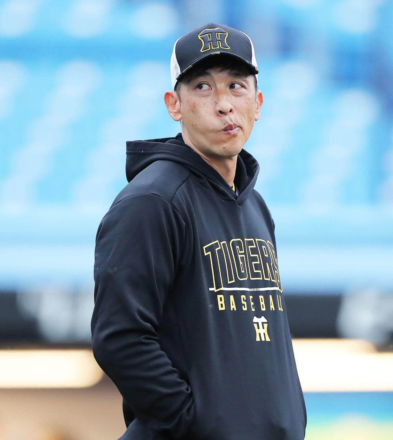 ヤクルト対阪神　試合前、練習を見る阪神矢野監督（撮影・河田真司）
