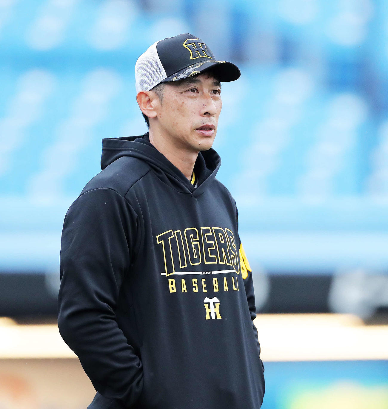 ヤクルト対阪神　試合前、練習を見る阪神矢野監督（撮影・河田真司）